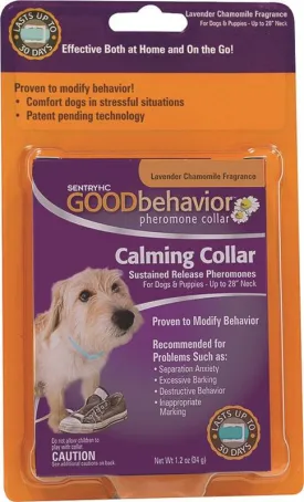 28in Good Behavior Dog Collar