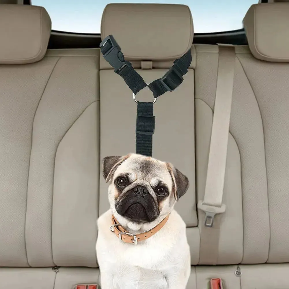 Adjustable Harness Collar with Vehicle Leash Clip