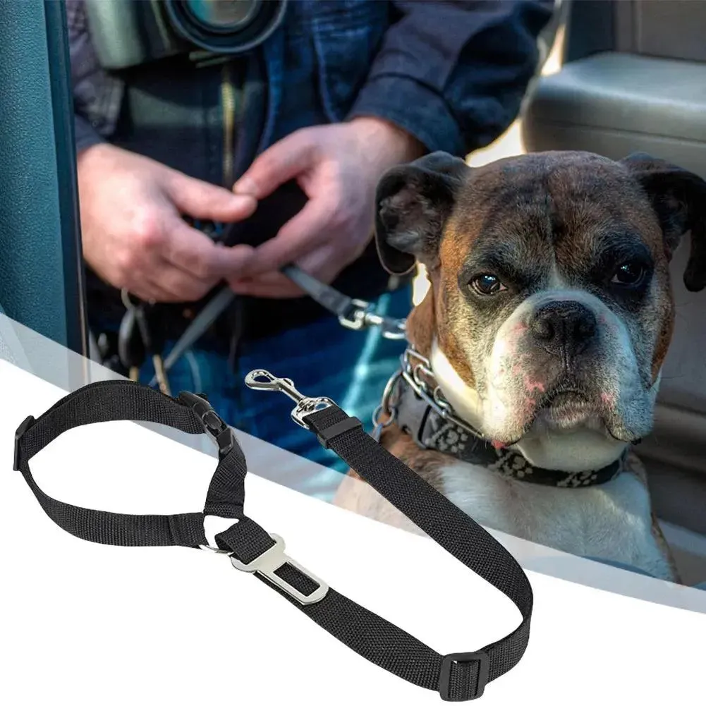Adjustable Harness Collar with Vehicle Leash Clip