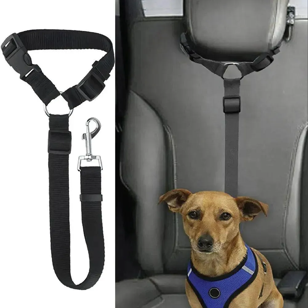Adjustable Harness Collar with Vehicle Leash Clip
