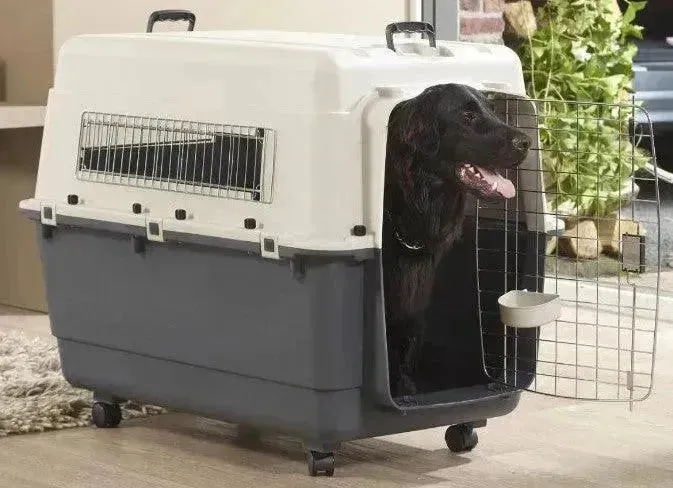 Andres Pet Carrier