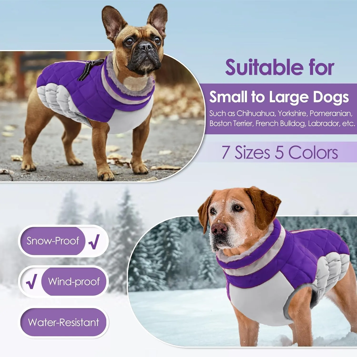 AOFITEE Dog Coat, Warm Dog Jackets for Small Dogs, Dogs Winter Coat with Harness Built in, Reflective Pet Winter Jacket, Waterproof Windproof Puppy Puffer Jacket Fleece Vest, Purple XS
