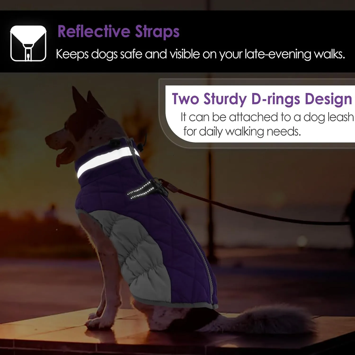 AOFITEE Dog Coat, Warm Dog Jackets for Small Dogs, Dogs Winter Coat with Harness Built in, Reflective Pet Winter Jacket, Waterproof Windproof Puppy Puffer Jacket Fleece Vest, Purple XS