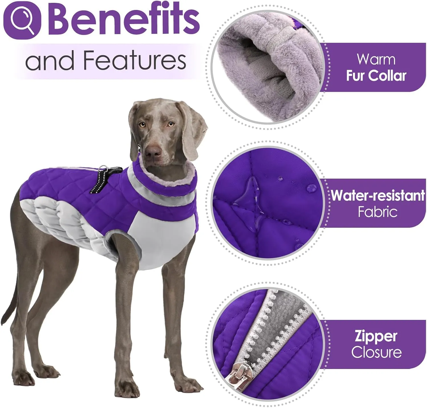 AOFITEE Dog Coat, Warm Dog Jackets for Small Dogs, Dogs Winter Coat with Harness Built in, Reflective Pet Winter Jacket, Waterproof Windproof Puppy Puffer Jacket Fleece Vest, Purple XS