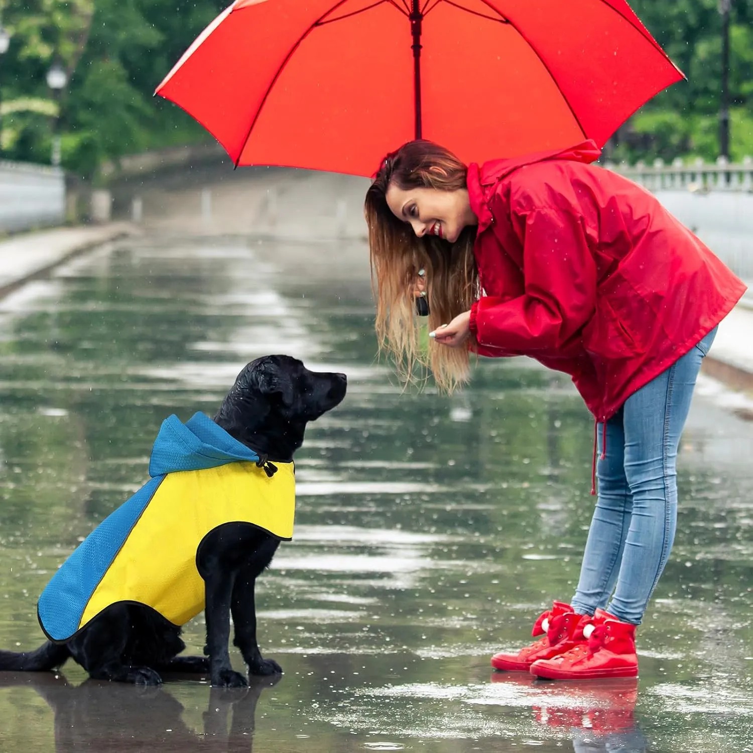 BiPawTi Dog Rain Jackets for Medium Dogs, Lightweight Reflective Safety Pet Rain Jacket, Waterproof Dog Raincoat with Hood/Leash Hole/Reflective Strip - Yellow   Blue, M