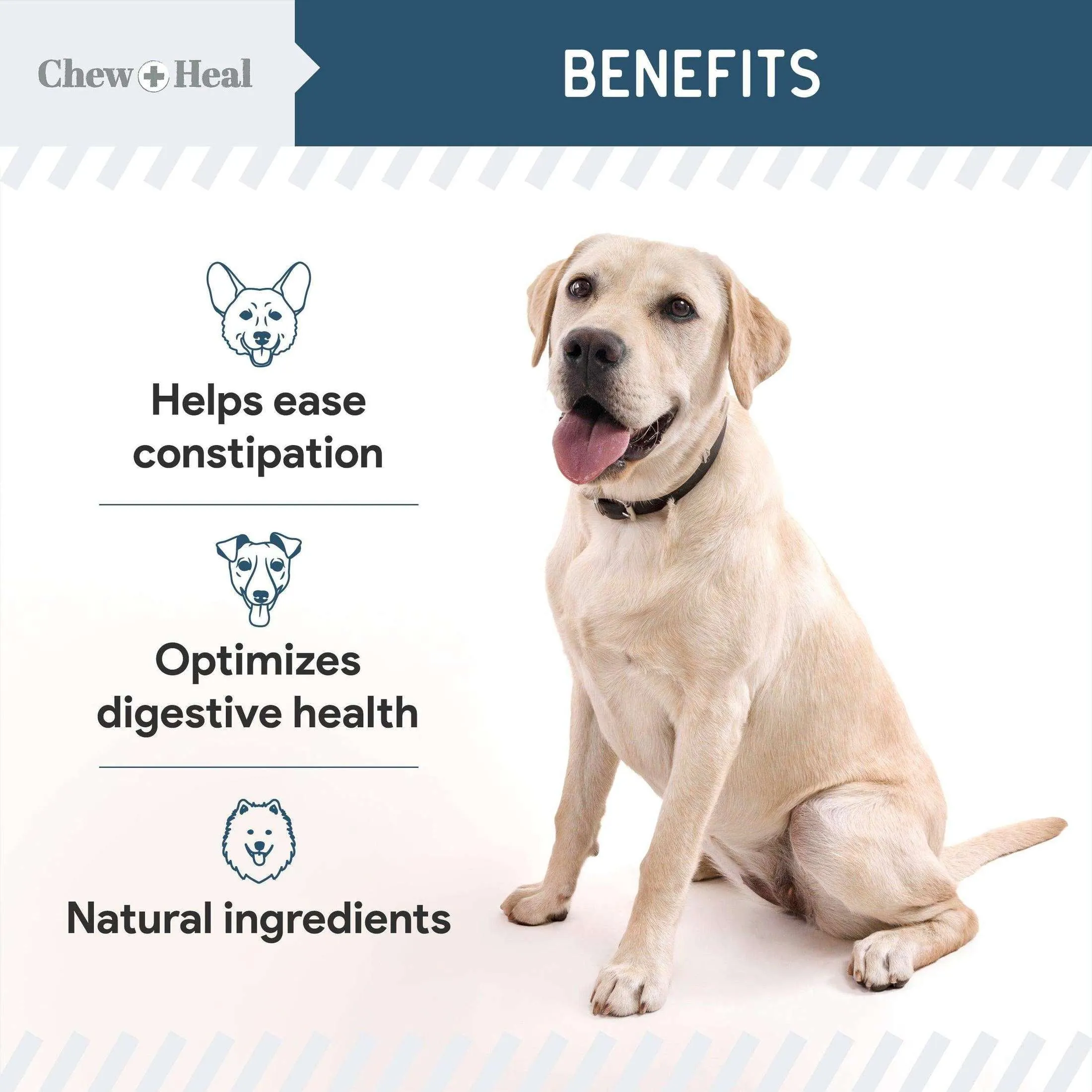 Chew   Heal Digestive Enzymes Bites With Probiotics