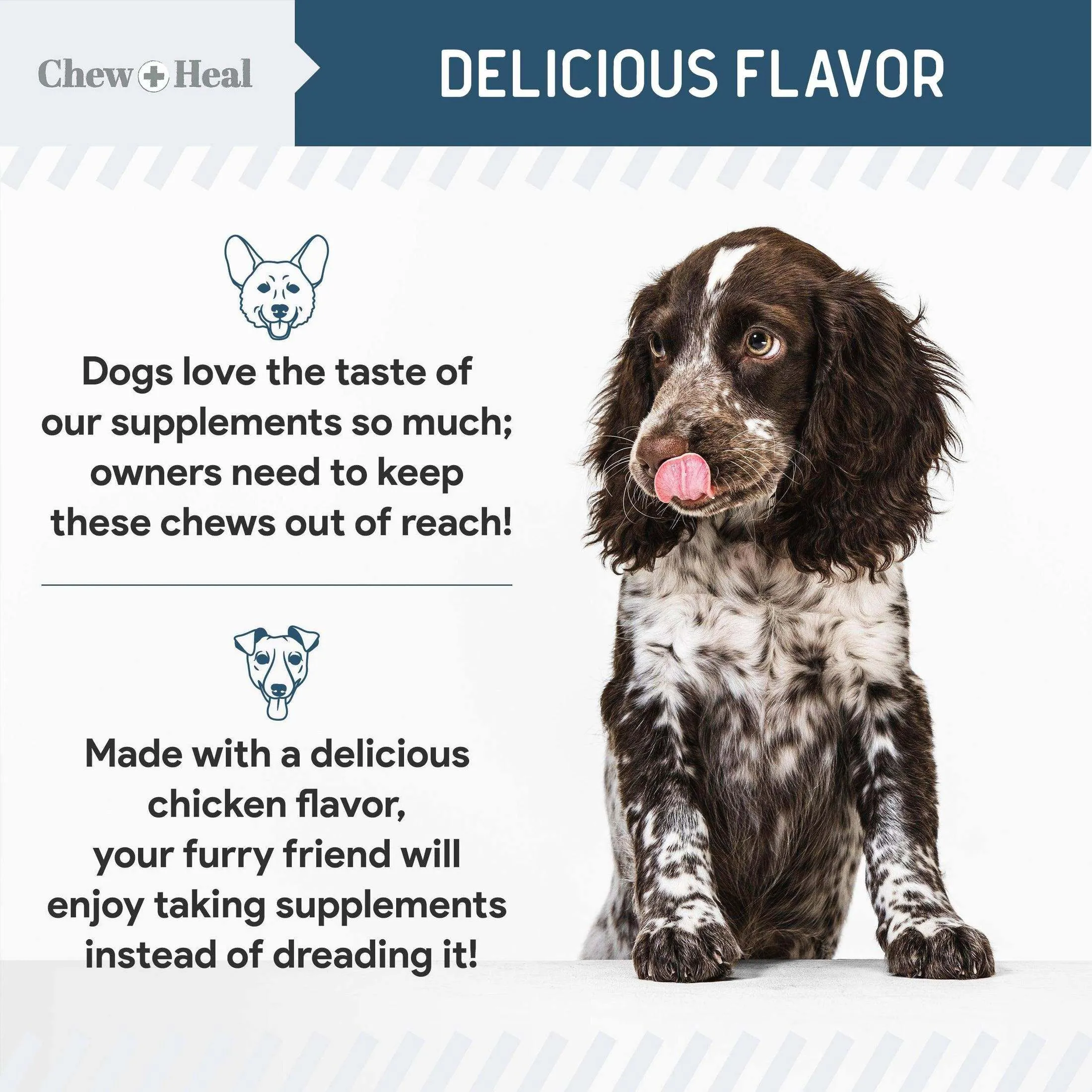Chew   Heal Digestive Enzymes Bites With Probiotics