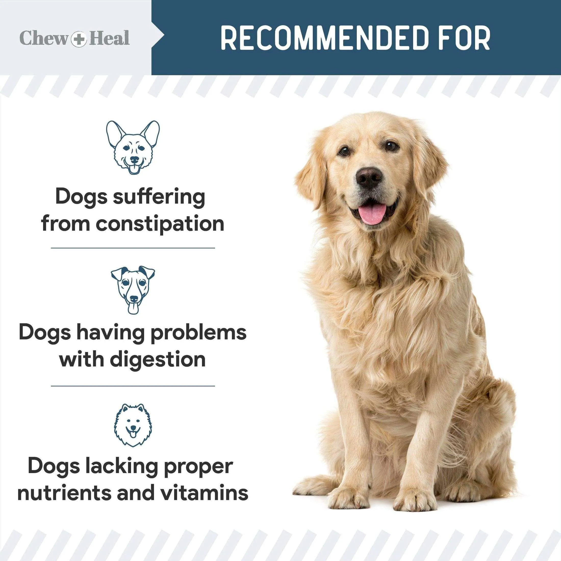 Chew   Heal Digestive Enzymes Bites With Probiotics