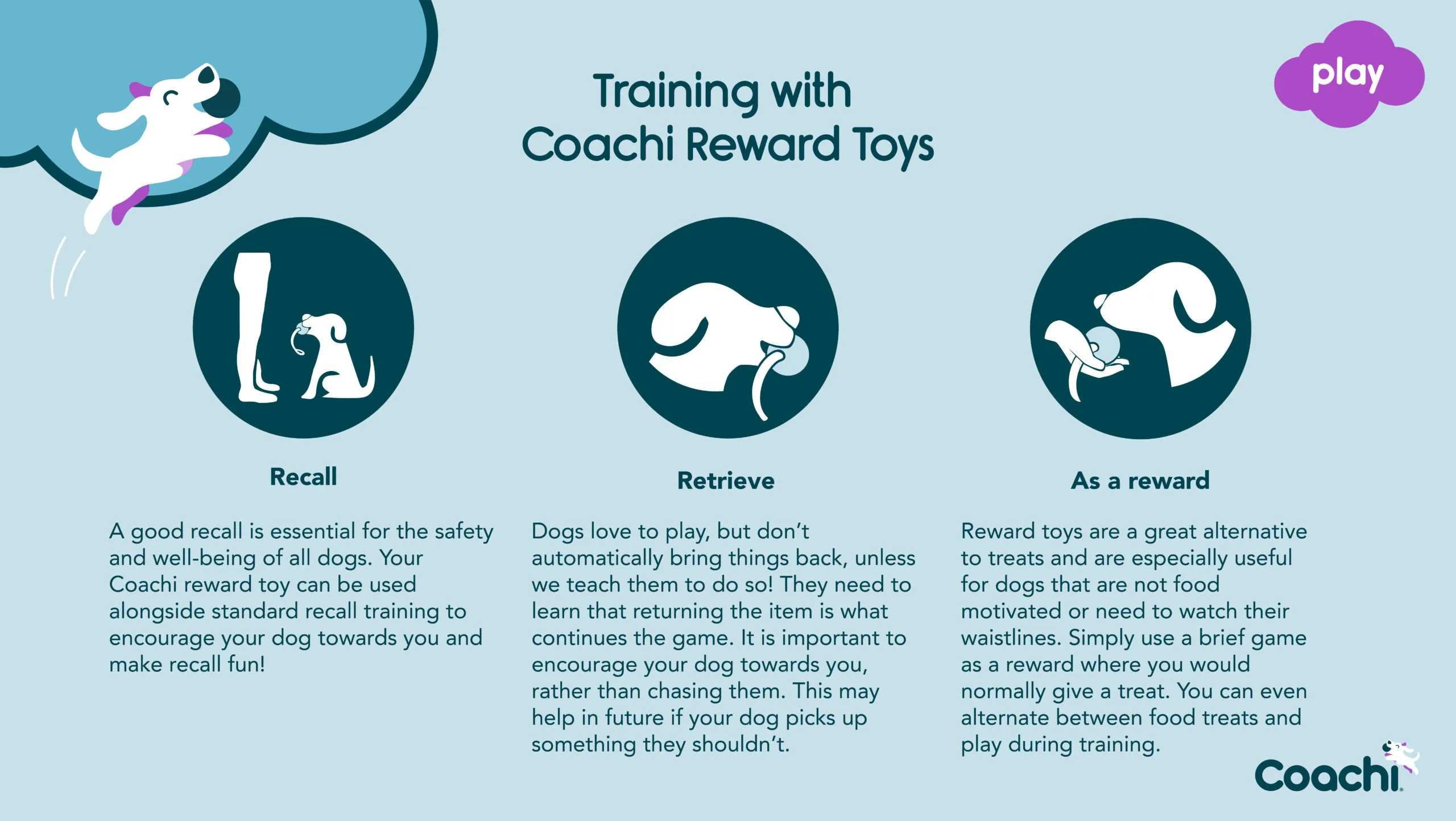 CoA Coachi Chase & Treat Training Toy