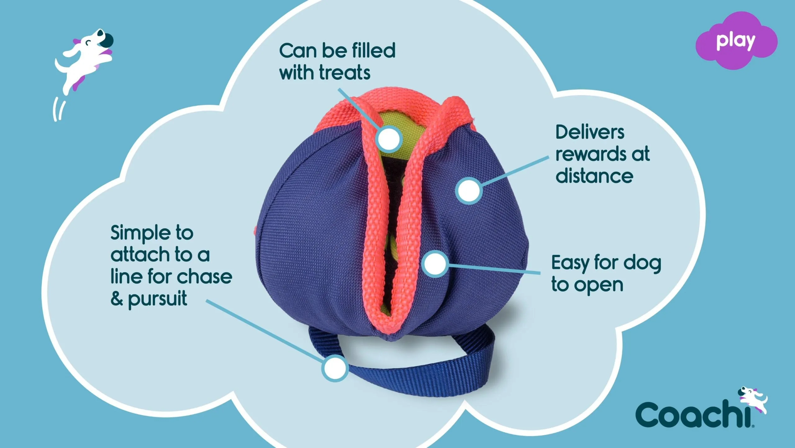 CoA Coachi Chase & Treat Training Toy
