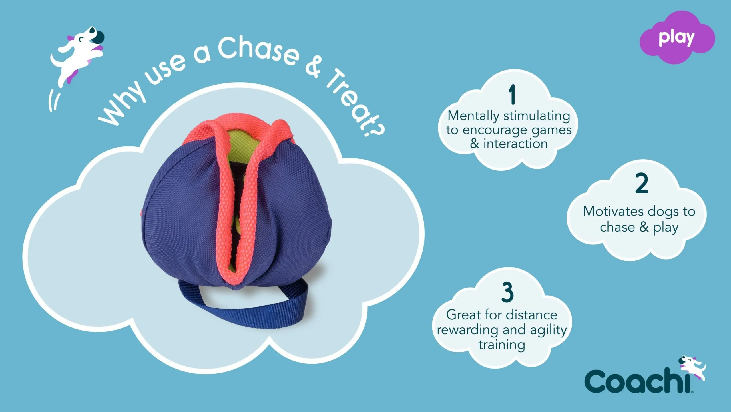 CoA Coachi Chase & Treat Training Toy