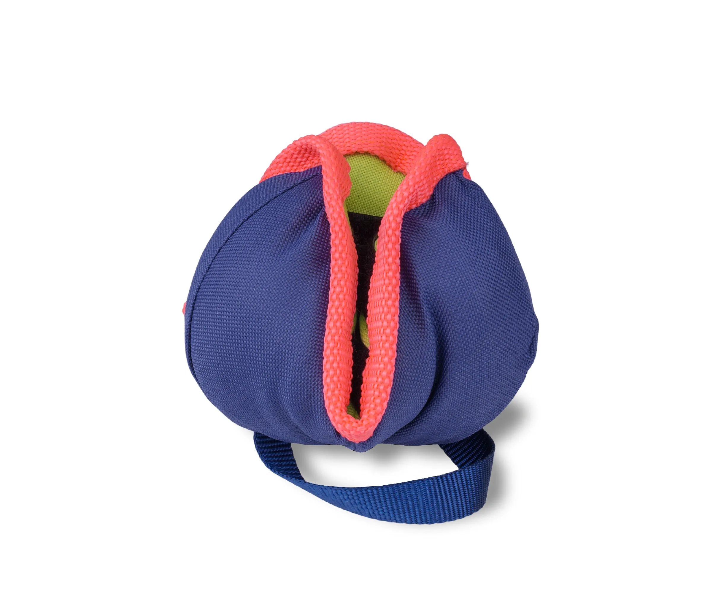 CoA Coachi Chase & Treat Training Toy