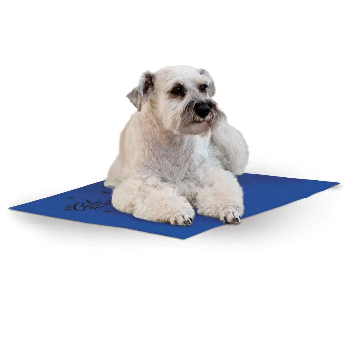 Cooling Dog Pad - K&H Pet Products Coolin Pet Pad