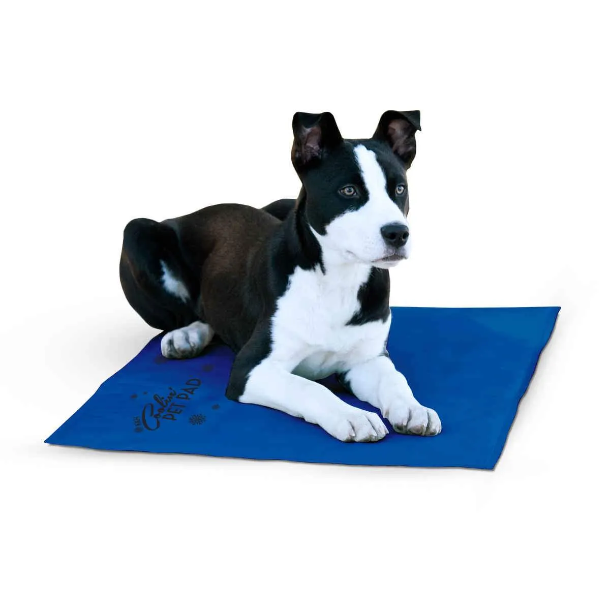 Cooling Dog Pad - K&H Pet Products Coolin Pet Pad