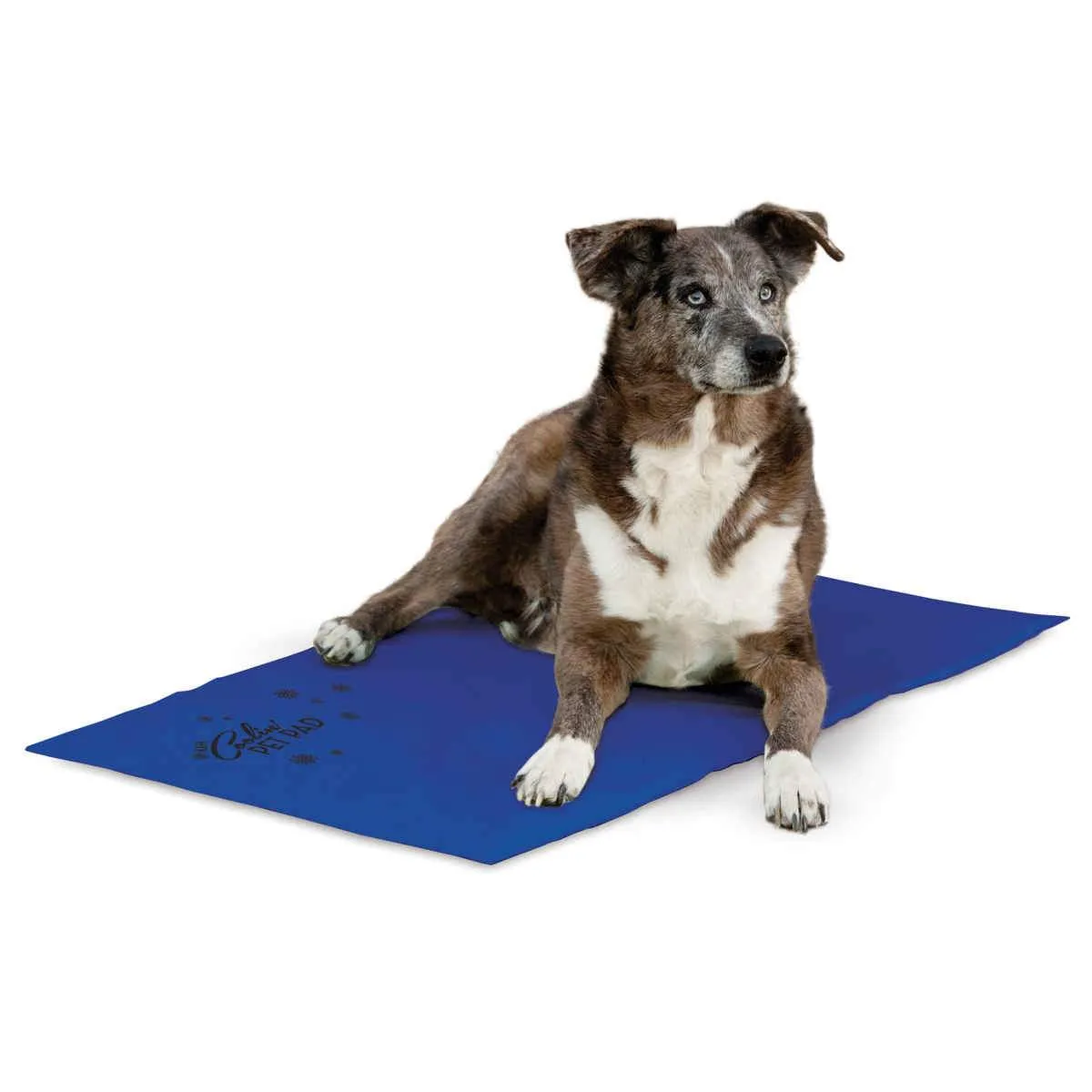 Cooling Dog Pad - K&H Pet Products Coolin Pet Pad