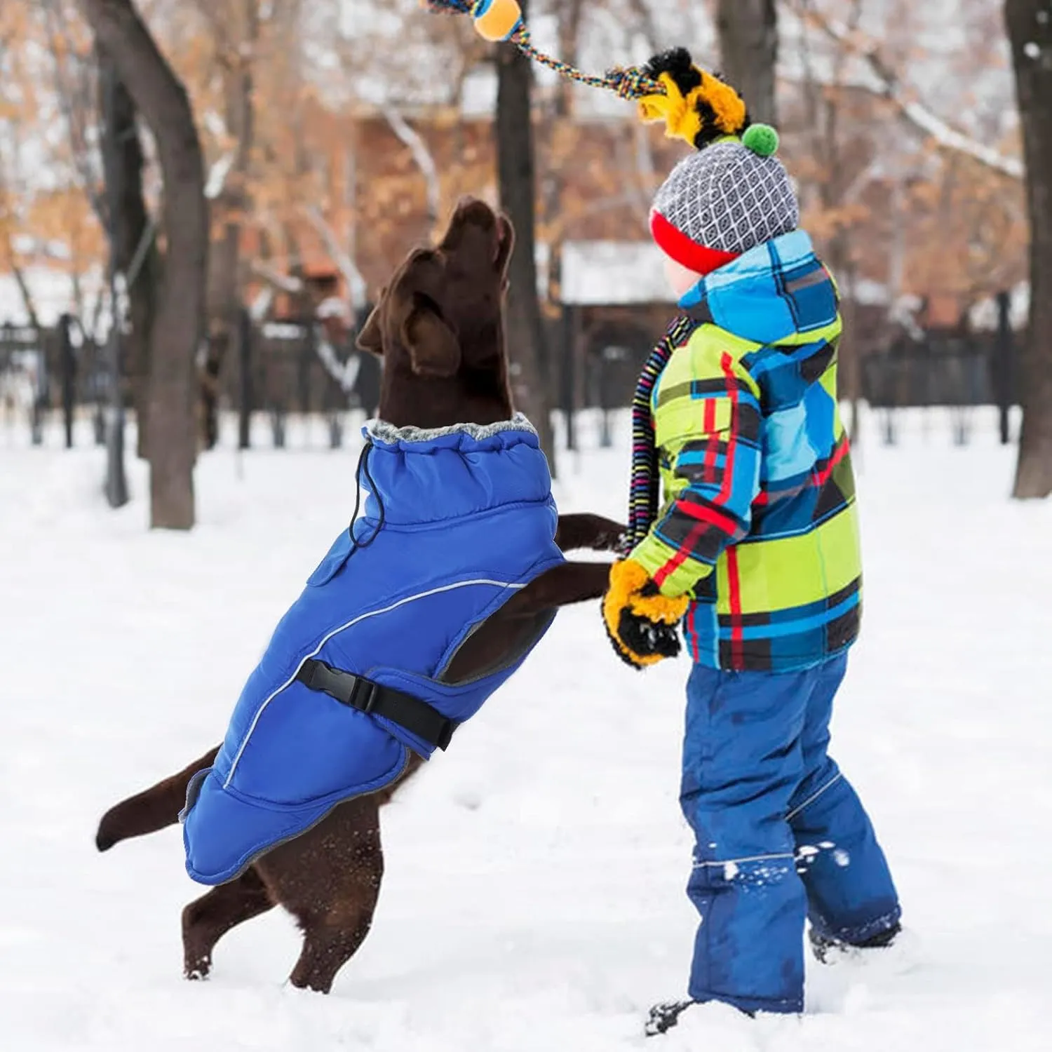 DENTRUN Dog Winter Warm Coat - Windproof Cozy Jacket, Thick Fleece Vest, Water Repellent, Reflective, Small to Large Dogs