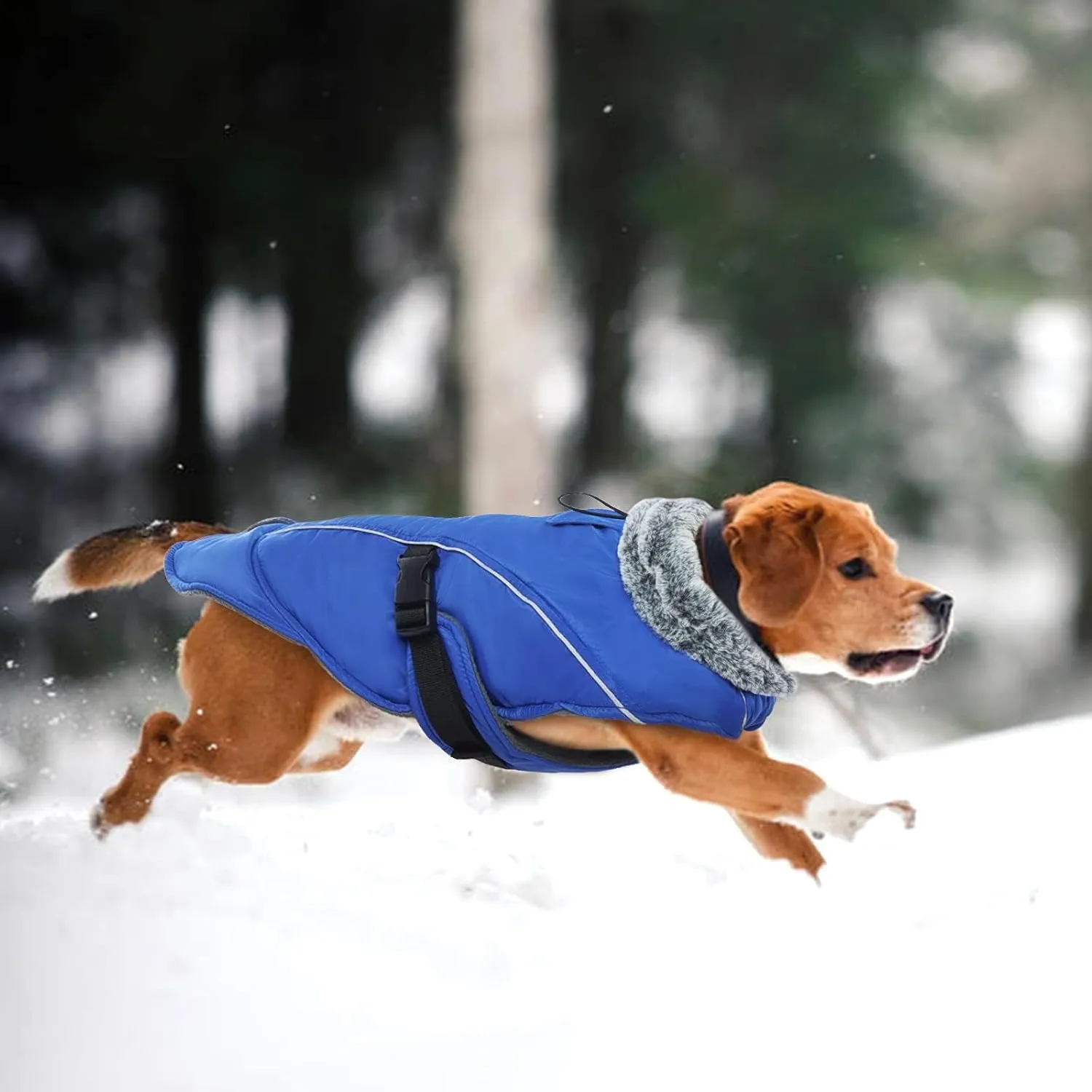 DENTRUN Dog Winter Warm Coat - Windproof Cozy Jacket, Thick Fleece Vest, Water Repellent, Reflective, Small to Large Dogs