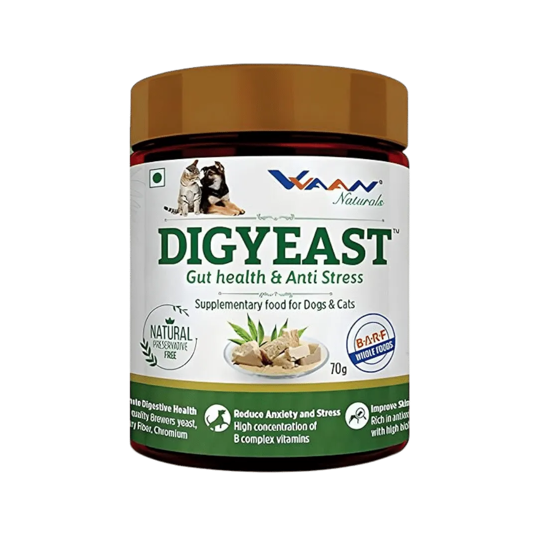 DIGYEAST POWDER