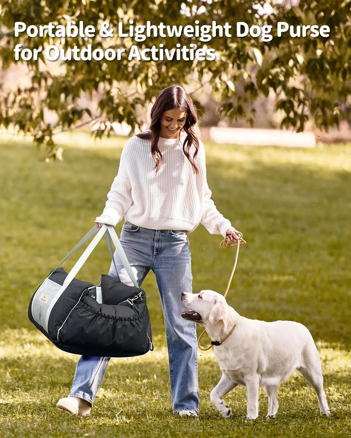 Dog Car Seat for Meduim Dogs - Waterproof Dog Booster Seat for Car with 4 Storage Pockets, Clip-On Safety Leash and Soft Plush Cushion, Pet Carrier for Small Dogs with Durable Belts up to 25 lbs, Gray