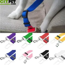 Dog Seat Belt Lead Restraint Harness