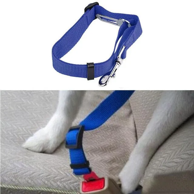 Dog Seat Belt Lead Restraint Harness
