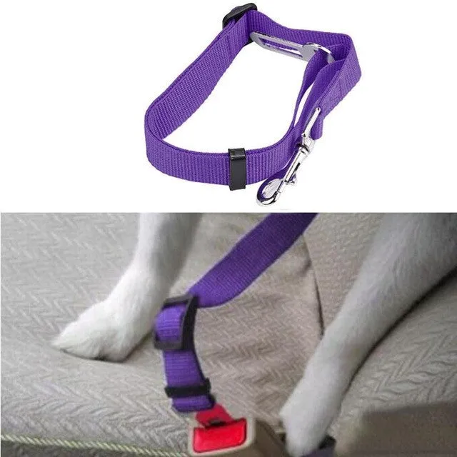 Dog Seat Belt Lead Restraint Harness