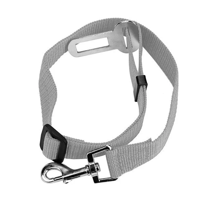 Dog Seat Belt Lead Restraint Harness