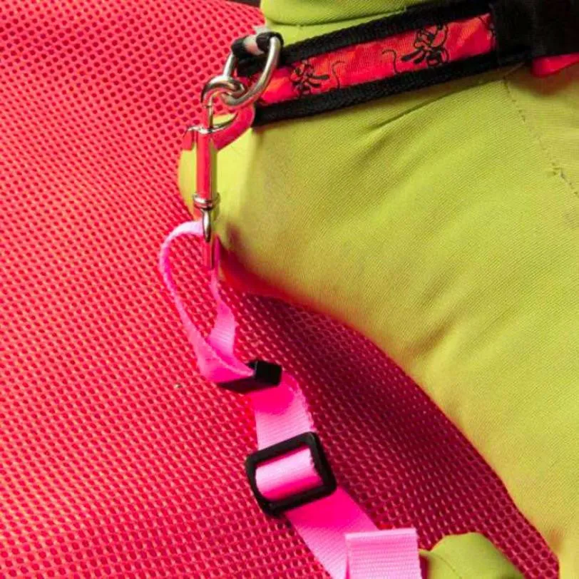 Dog Seat Belt Lead Restraint Harness