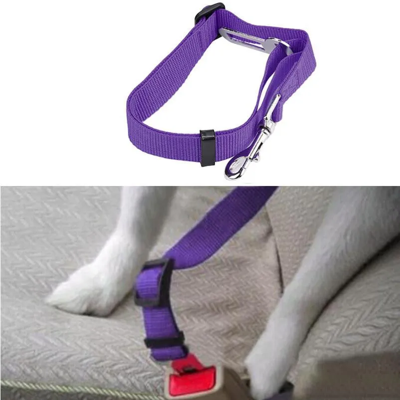 Dog Seat Belt Lead Restraint Harness