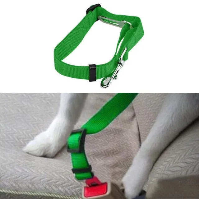 Dog Seat Belt Lead Restraint Harness