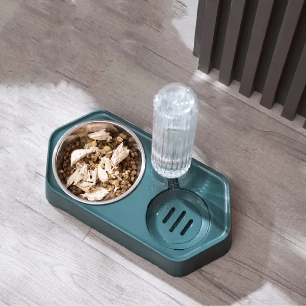 Emily Pets Automatic Water Dispenser Double Bowls for Dogs and Cats (Blue)