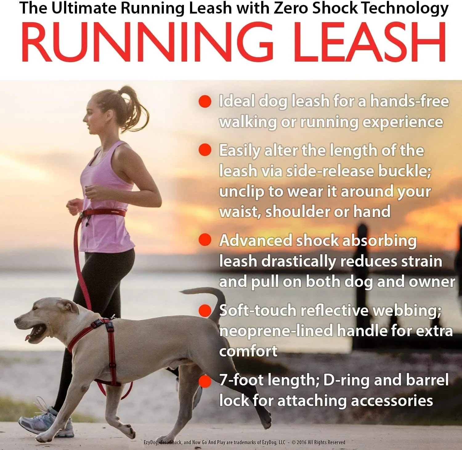 EzyDog Road Runner Hands Free Dog Leash  Waist Leash for Dog Walking, Jogging and Running with Zero Shock Bungee, Reflective Stitching, and Adjustable Waist (Orange)