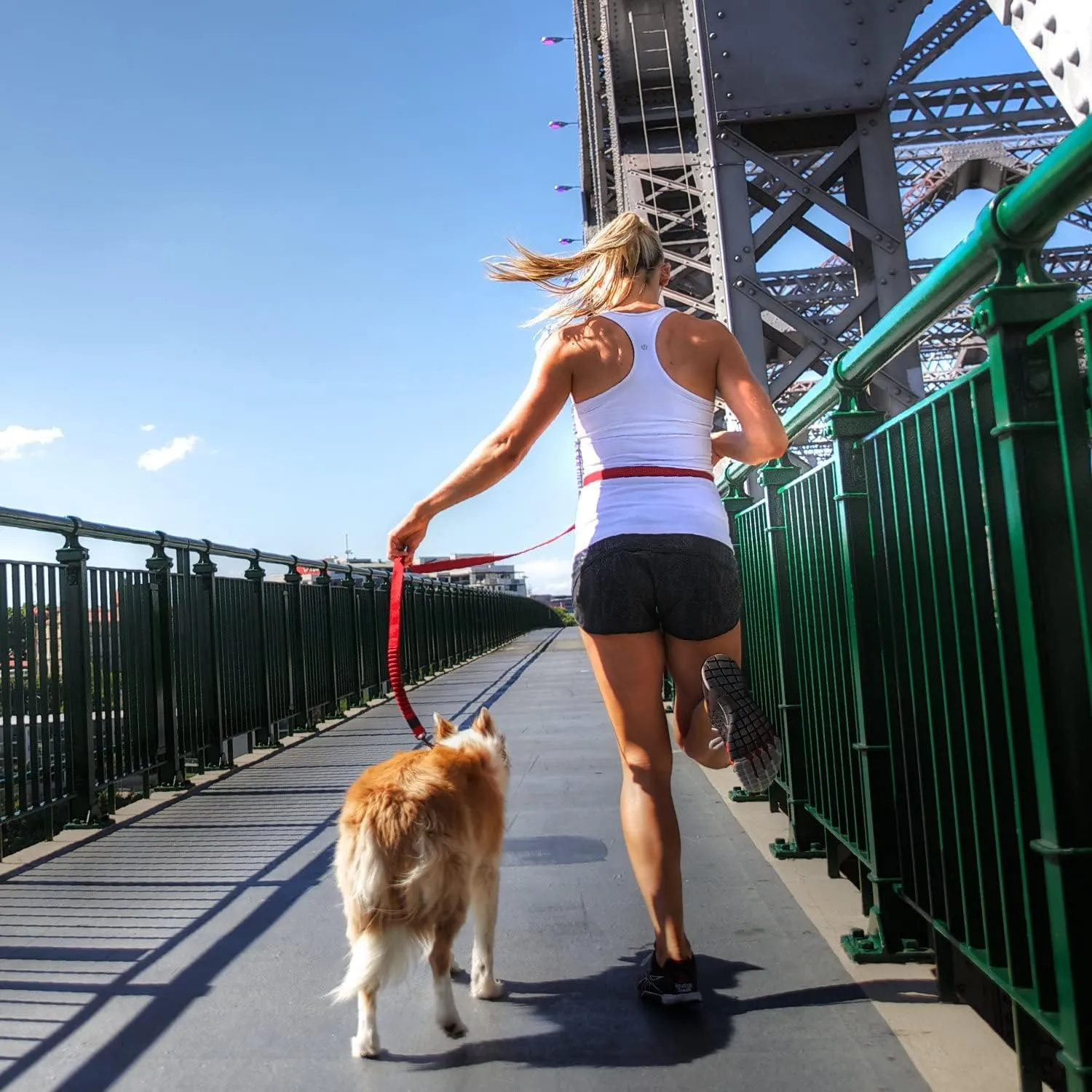 EzyDog Road Runner Hands Free Dog Leash  Waist Leash for Dog Walking, Jogging and Running with Zero Shock Bungee, Reflective Stitching, and Adjustable Waist (Orange)