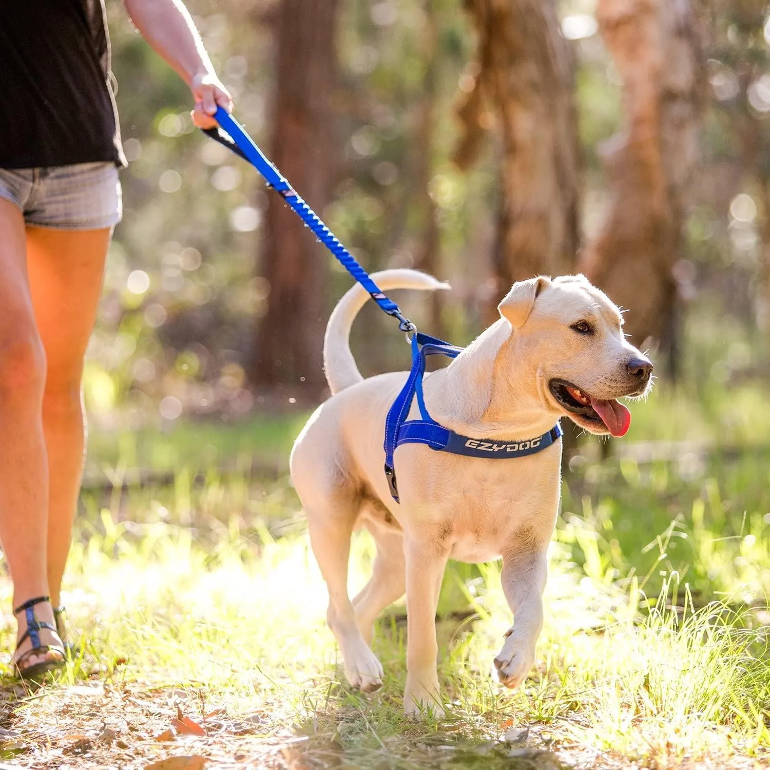 EzyDog Zero Shock Dog Leash - Shock Absorbing Bungee Leash for Dogs That Pull or Excite - Dual Handle and Reflective for Large, Medium, or Small Dogs (72-Inch, Black)