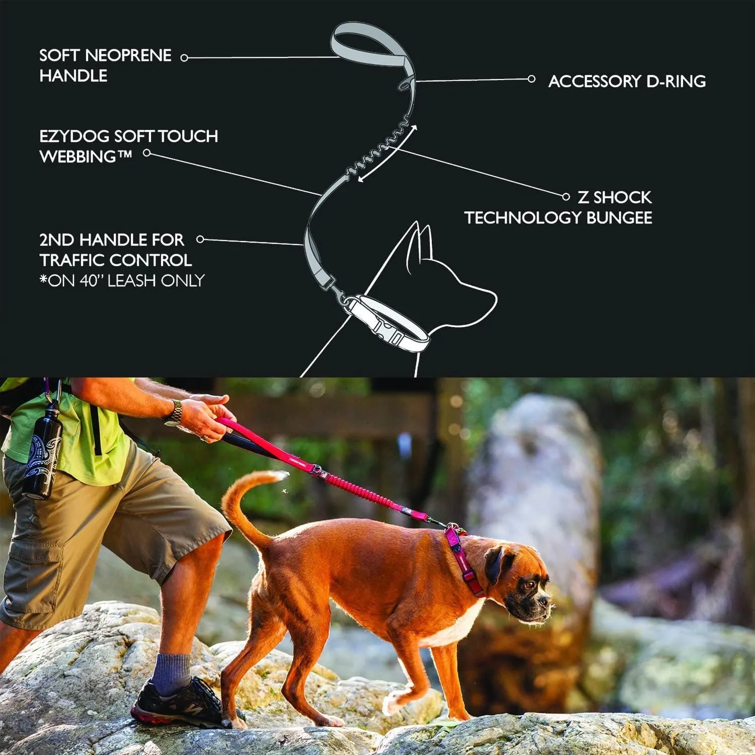 EzyDog Zero Shock Dog Leash - Shock Absorbing Bungee Leash for Dogs That Pull or Excite - Dual Handle and Reflective for Large, Medium, or Small Dogs (72-Inch, Black)