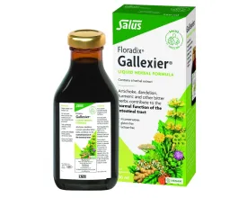 Floradix Gallexier Artichoke Food Supplement 250ml