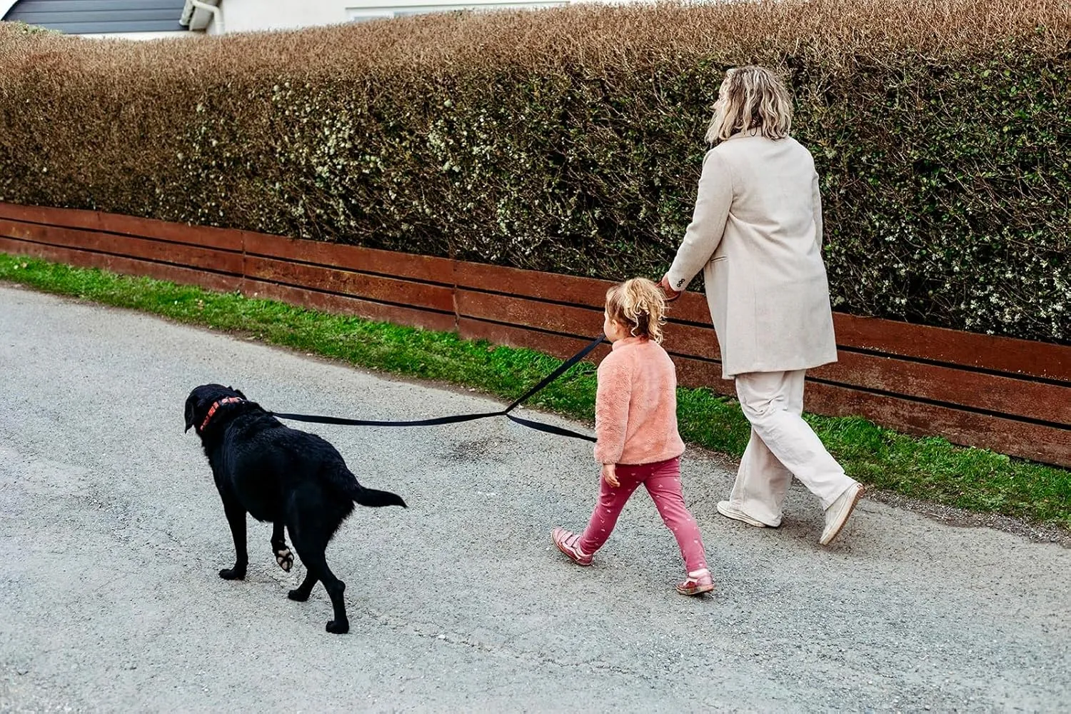 Kid Friendly Dog Leash for Medium & Large Dog, 6ft Long Two Person Heavy Duty Nylon Puppy Leash with Dual Red Padded Neoprene Cute Handles Lead for Walking, Running, and Training Dogs The Love Leash
