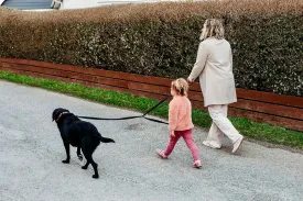 Kid Friendly Dog Leash for Medium & Large Dog, 6ft Long Two Person Heavy Duty Nylon Puppy Leash with Dual Red Padded Neoprene Cute Handles Lead for Walking, Running, and Training Dogs The Love Leash