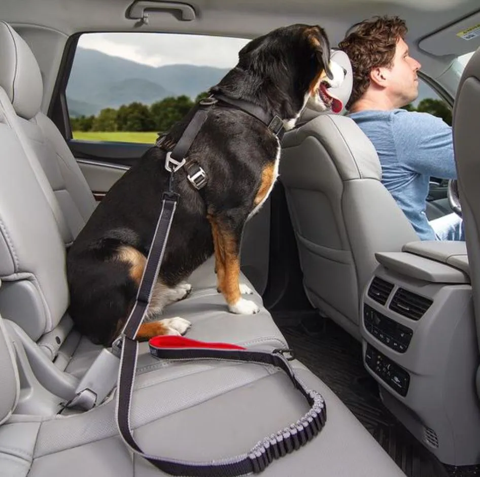 Kurgo Leash to Seatbelt Buckle