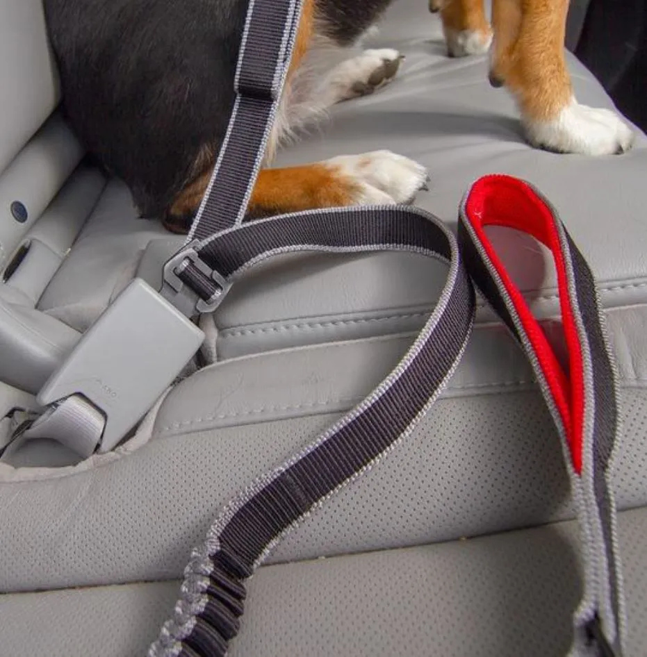 Kurgo Leash to Seatbelt Buckle