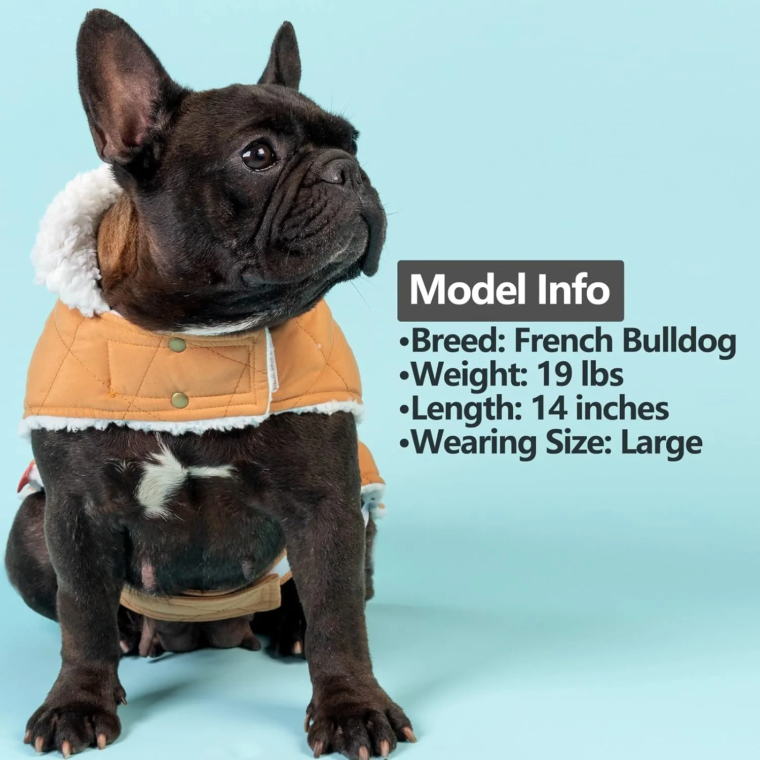 KYEESE Dog Coats Warm Dog Jacket Winter Cozy Windproof Padded Sherpa Dogs Jackets for Small Dogs with Furry Collar Doggie Clothes, Yellow, S