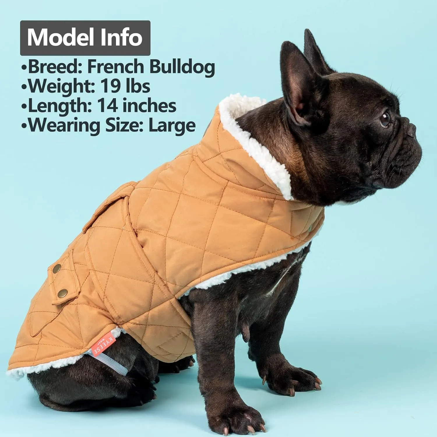 KYEESE Dog Coats Warm Dog Jacket Winter Cozy Windproof Padded Sherpa Dogs Jackets for Small Dogs with Furry Collar Doggie Clothes, Yellow, S