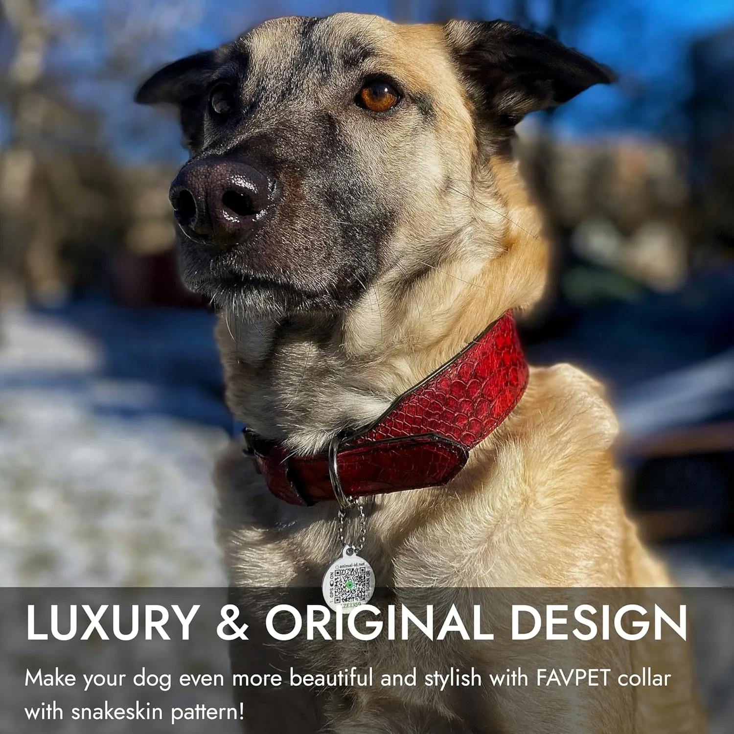 Luxury Leather Dog Collar With ID Tag QR, Wide Padded Design, Metal Buckle, Aesthetic (Green, M)
