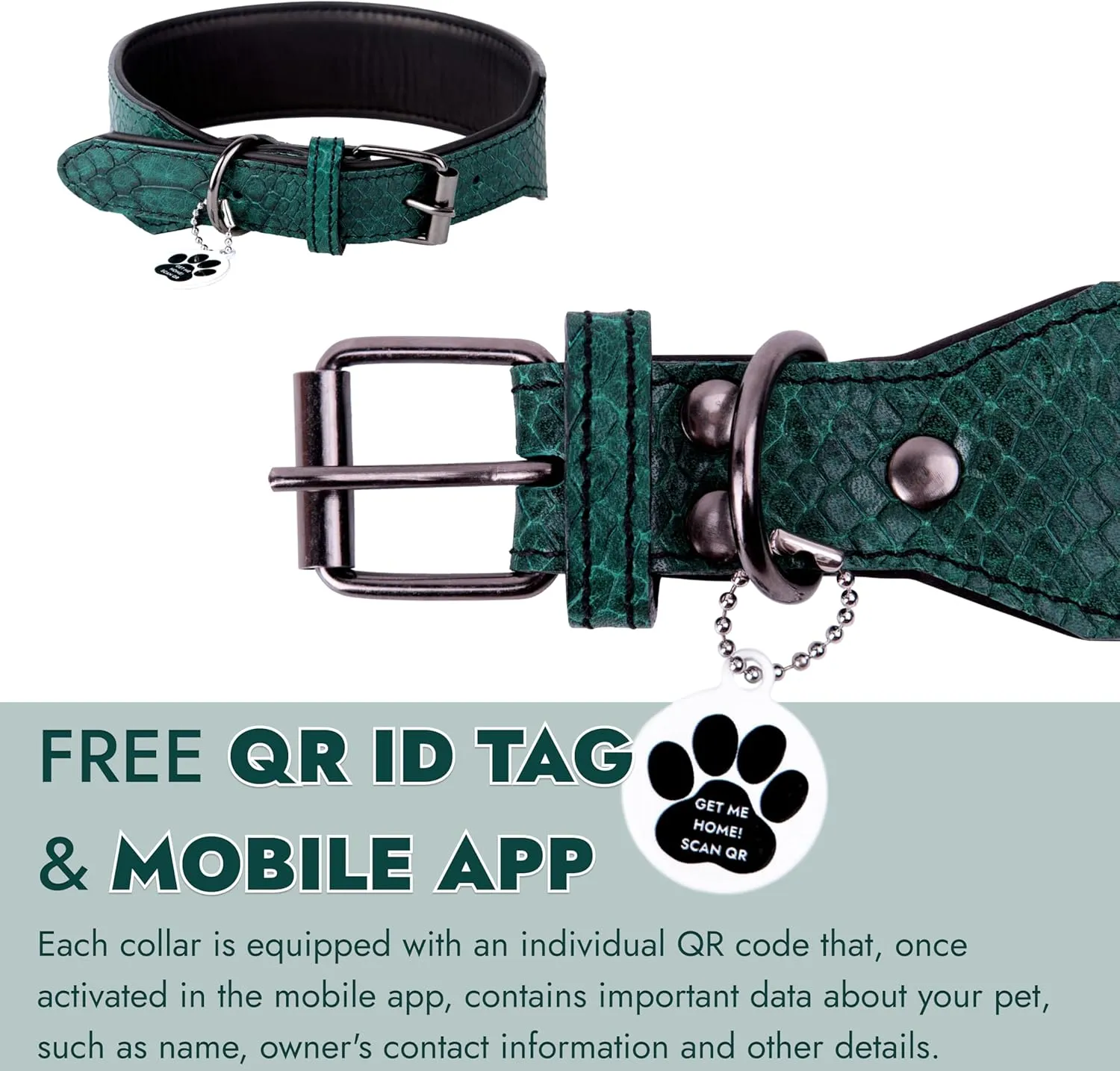 Luxury Leather Dog Collar With ID Tag QR, Wide Padded Design, Metal Buckle, Aesthetic (Green, M)