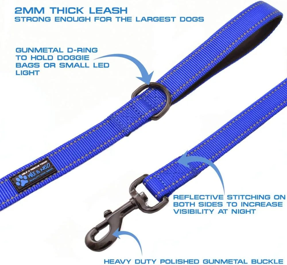 Max and Neo Double Handle Traffic Dog Leash - Reflective, Donates to Dog Rescue (Teal, 6 FT)