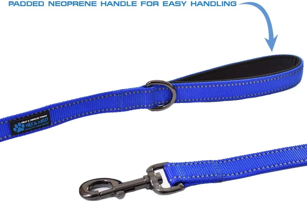 Max and Neo Double Handle Traffic Dog Leash - Reflective, Donates to Dog Rescue (Teal, 6 FT)