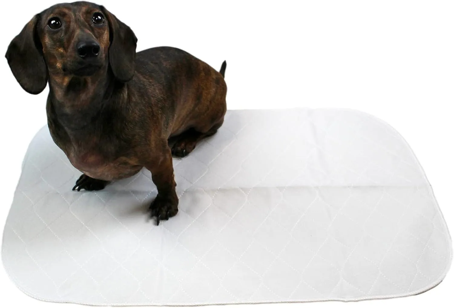 Midlee Reusable Washable Dog Training Pads Pack of 3 (15" x 23")