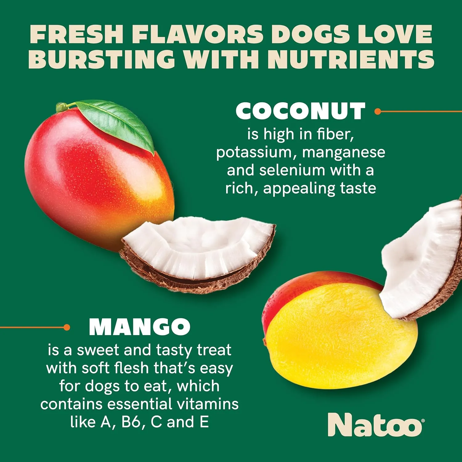 NATOO Healthy Treats for Large Dogs, Crunchy Biscuits Coconut & Mango Flavor  Natural Dog Treats, Rich in Omega 6, Prebiotics & Fibers, Antioxidants for Immunity (8 oz)