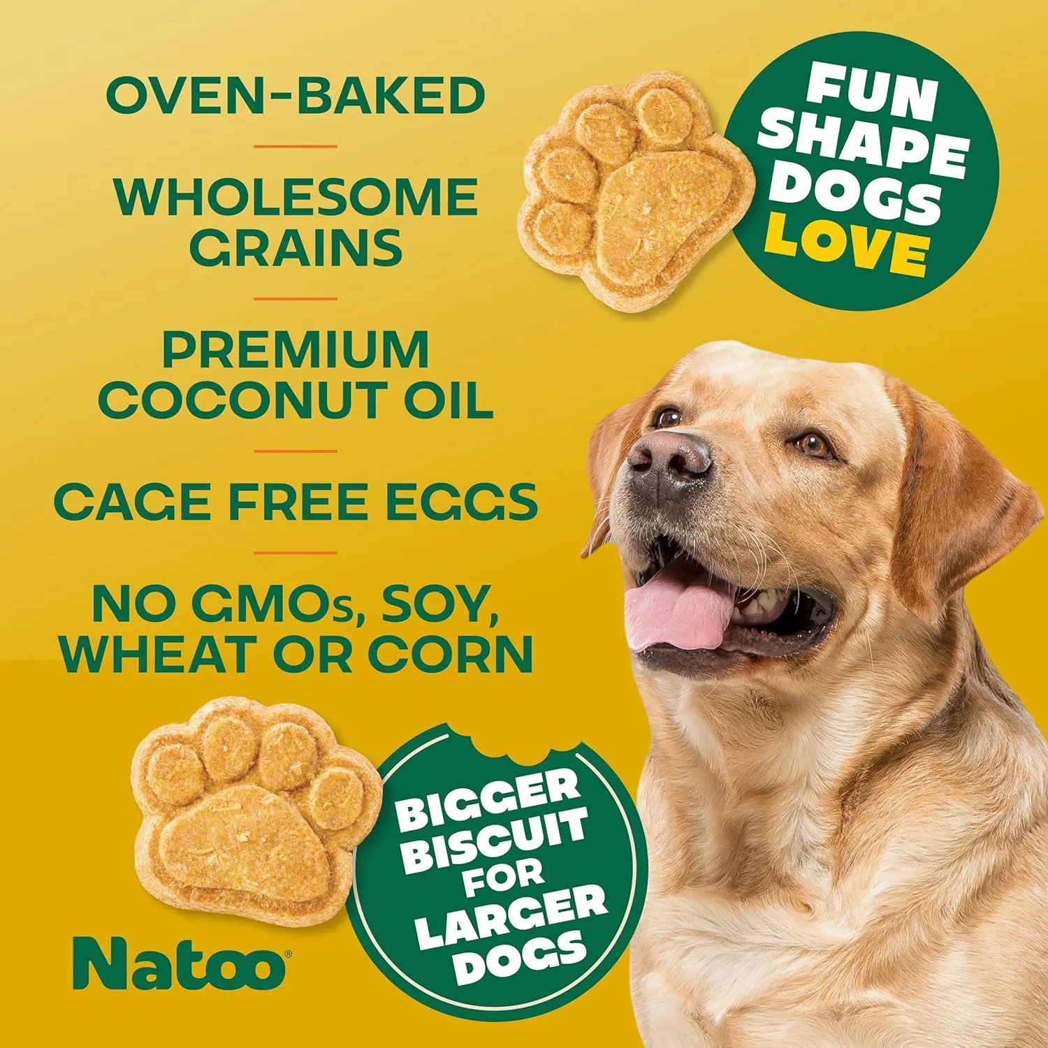 NATOO Healthy Treats for Large Dogs, Crunchy Biscuits Coconut & Mango Flavor  Natural Dog Treats, Rich in Omega 6, Prebiotics & Fibers, Antioxidants for Immunity (8 oz)