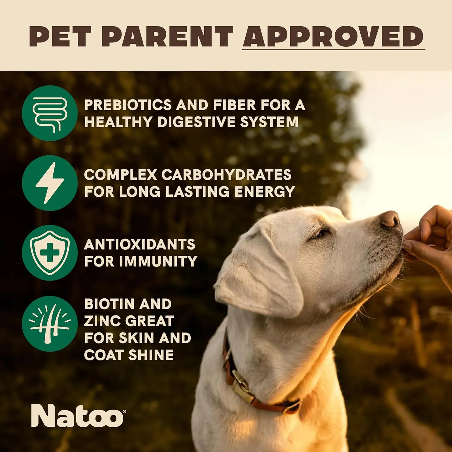 NATOO Healthy Treats for Large Dogs, Crunchy Biscuits Coconut & Mango Flavor  Natural Dog Treats, Rich in Omega 6, Prebiotics & Fibers, Antioxidants for Immunity (8 oz)